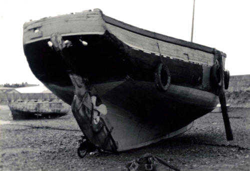 1982 Vasire