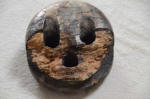 Cap de mouton 1